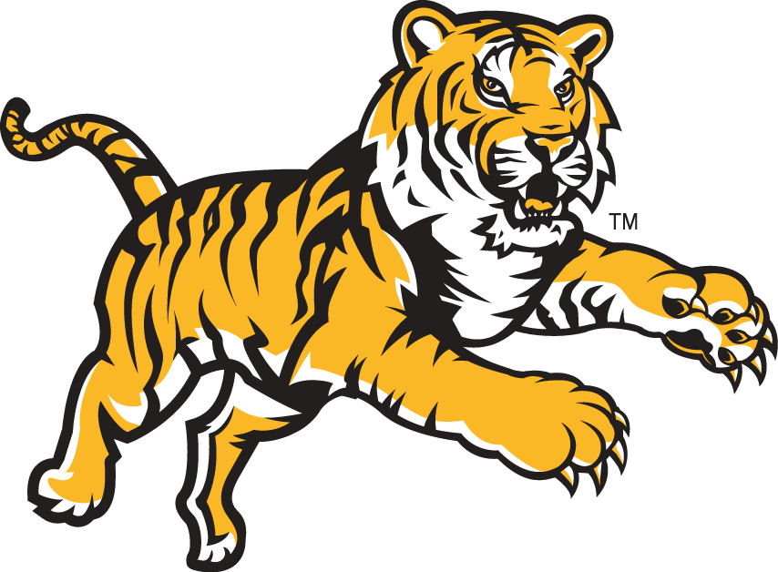 LSU Tigers 2002-Pres Alternate Logo t shirts iron on transfers v2